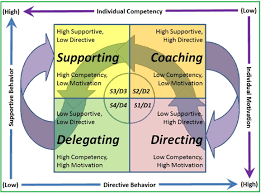 Directive Leadership Statements Leadership Change Leadership Coach Motivation