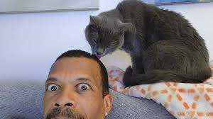 Yes❣️But really there 16+ kitties in my heart