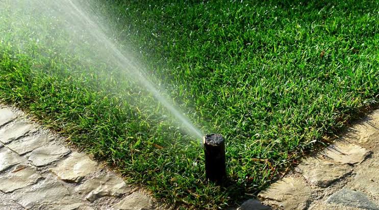 Is a Lawn Sprinkler System Right for You? | Blue Jay