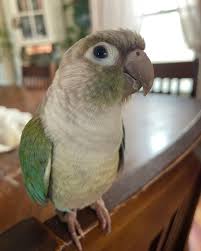 Tabitha Goodale (@tabithaballmusic) • Instagram photos and videos