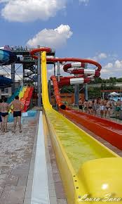 We did not find results for: Aquapark Nymphaea Oradea Retete Culinare Cu Laura Sava Cele Mai Bune Retete Pentru Intreaga Familie