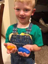 Indian paintbrush in Sawyer County