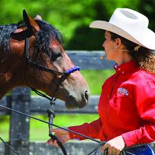Champion Freestyle Reiner Whizzards Baby Doll Has Been Euthanized Due To A  Stall Injury - Horse Illustrated