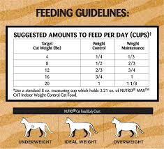 Pin On Cat Foods Dry