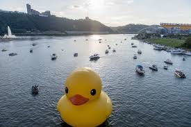 Bird On The Run Pittsburgh Must See Video The Duck Stops Here The 412 September 2013 Pittsburgh Pittsburgh Pa Ohio River