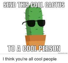 Here you can find the list of memes, video and gifs created by user a_cactus_. Send This Cool Cactus To A Cool Person Cool Meme On Me Me