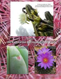 We are forever searching for a true definition. The Cultivation Propagation Of Cacti