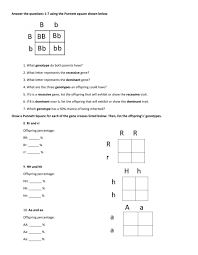 For example, we can predict the outcome for offspring as the traits for both height and. Punnet Square Practice Worksheet Worksheet