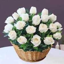 We did not find results for: Condolence Flower Delivery To India Online Sympathy Gifts