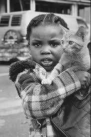 Video footage, photos show destruction wrought by 1980 Kalamazoo tornado