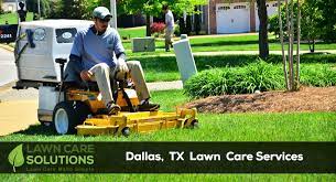 This list of the 10+ affordable and best lawn care services in dallas, texas should help you choose. Lawn Care Dallas Tx Lawn Mowing Lawn Care Solutions