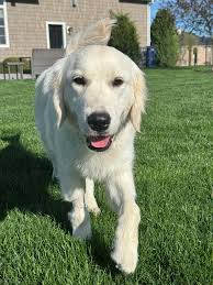 Ive been following this page for awhile. Thank you all for your openness  and supportive community. Video noted in attached ( tremors at very end).  Am seeking advice if anyone has a