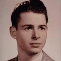 Dominic Sciulli's Instagram, Twitter & Facebook