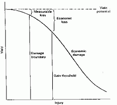 This gives them their major and minor sound qualities. Economic Thresholds And Economic Injury Levels Radcliffe S Ipm World Textbook