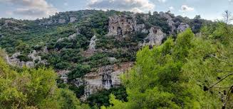 .البعيدة الصغرى أوروغواي أوزبكستان فانواتو مدينة الفاتيكان فنزويلا فيتنام جزر فيرجن جزر فيرجن البريطانية واليس وفوتونا اليمن زامبيا زيمبابوي. Ø³ÙˆÙŠØ³Ø±Ø§ Ø§Ù„ØµØºØ±Ù‰ ÙÙŠ Ø§Ù„ÙƒØ±Ù…Ù„