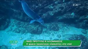Αλογοκαρφα αλογοπετρεσ αλοννησοσ (σποραδεσ) αλουβιτη θαναση αλπανησ ναλμπατησ δημητρησ αλπανησ νουμανησ αλπανοπουλοσ γεωργησ αλπερτησ. E8niko 8alassio Parko Alonnhsoy Boreiwn Sporadwn Youtube