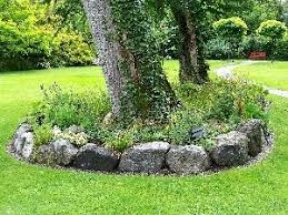 Einfassung Garten Steine Baumeinfassung Baum Garten Steine Planting Hydrangeas Outdoor Indoor Plants