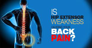 Your lower back is called the lumbar region of the back. Is Hip Extensor Weakness Causing Your Back Pain Runners Connect