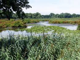 Molsbroek is located in lokeren. Molsbroek Inventaris Onroerend Erfgoed
