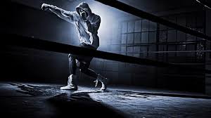 Arts, battle, battles, crowd, crowds, extreme, fight, martial. 66 Hd Mma