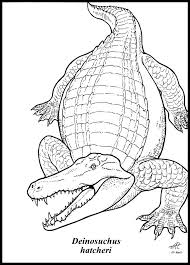 Image Result For Deinosuchus Coloring Color Living Fossil Image