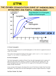 Bioflix Activity Gas Exchange Oxygen Transport The Oxygen Dissociation Curve Of Haemoglobin Myoglobin And The Foetal Haemoglobin Dissociation Biology Biology Notes