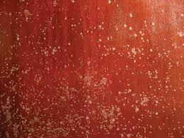 Treating Mold And Mildew Woodshop News