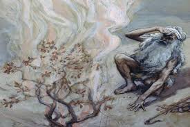 Iacob se revolta atunci cand e tratat ca un om oarecare si sufera din aceasta cauza. Teofania Cum È™i De Ce A ApÄƒrut Dumnezeu Oamenilor