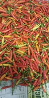Beliau berkata, sebagai contoh, harga purata cili merah kulai pada. Pembekal Lada Putih Cili Padi Ranau 2021