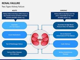 Chronic renal failure is a condition involving a decrease in the kidneys' ability to filter waste and fluid from the blood. Renal Failure Powerpoint Template Sketchbubble