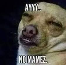 No Pos Guau Home Facebook