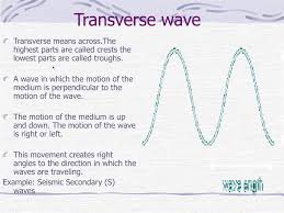 Transverse waves and longitudinal waves are types of mechanical waves. Ppt How Does One Differentiate Between Transverse And Longitudinal Waves 7 11 6 Powerpoint Presentation Id 339950