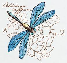 Find & download free graphic resources for dragonfly pattern. Miniature Menagerie Dragonfly Diagram Urban Threads Unique And Awesome Embroidery Designs