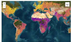DATABASES FOR LOCALIZING THE HUMAN DEVELOPMENT INDEX - SDG Local Action