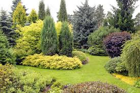 Landscaping network in calimesa, ca. Beautiful Garden Landscape With Variety Of Conifers And Other Stock Photo Picture And Royalty Free Image Image 43894647