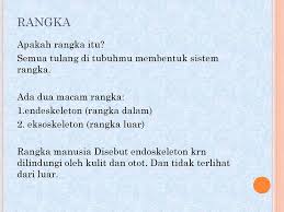 We did not find results for: Sistem Gerak Pada Manusia Oleh Ida Rianawaty Ppt Download