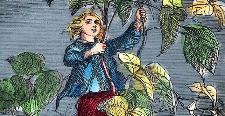 Jack and the Beanstalk' Found to be One of the Oldest Tales in Human  History | The Vintage News