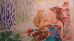 Nelumbo nucifera, water plants, lotus tubers, lotus rhizomes, sacred lotus, chinese lotus, lotus flowers, water garden, how to grow lotus, fertilize lotus, A Garden In My Teacup The Legendary Snow Lotus