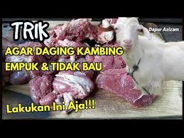 Ingat agar daging kambing tidak bau, jangan pernah mencuci daging kambing sebelum di kolah. Cara Memasak Daging Kambing Agar Empuk Tidak Bau Youtube