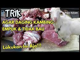 Selanjutnya, cara lainnya yang bisa anda jajal untuk menghilangkan bau . Cara Memasak Daging Kambing Agar Empuk Tidak Bau Youtube