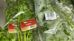 Daun sup berikut ini beberapa tips dan blog lipislady beza antara daun sup dan daun ketumbar. Daun Ketumbar Vs Daun Sup Kembar Tapi Tak Serupa Hafiz Rahim