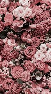 Garden Wallpaper Iphone Flower 22 Ideas For 2019 Flower Phone Wallpaper Trendy Flowers Flower Aesthetic
