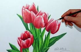 Keren 30 Wallpaper Lukisan Keren Sketsa Bunga Tulip Berwarna Wallpaper Keren Flowers Wit Di 2020 Menggambar Dengan Pensil Halaman Mewarnai Bunga Lukisan Pensil Warna
