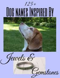 Check spelling or type a new query. 125 Beautiful Dog Names Inspired By Jewels And Gemstones Pethelpful