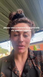 Spotted Begonia: A Plant Lover's Pride and Joy