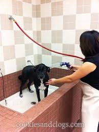 See tripadvisor's 199,719 traveler reviews and photos of kid friendly pittsburgh attractions Self Service Pet Wash At Pet Food Express Incl Cute Video Dog Grooming Tips Dog Grooming Dog Pet Beds