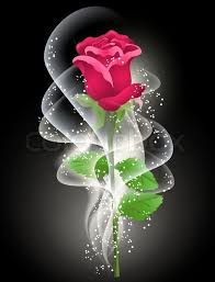Stock Vector Of Rose And Smoke On The Black Background Rose Flower Wallpaper Flower Wallpaper Flower Phone Wallpaper