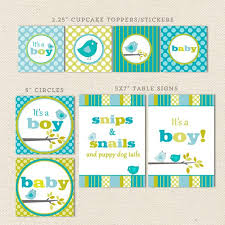 These kits will get you off to a great start to your shower decorating. Bird Boy Baby Shower Invitation Lil Sprout Greetings