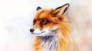 Krafttier Fuchs: Bedeutung, Botschaft und Traumdeutung | BRIGITTE.de