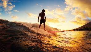 15 Useful Tips For Beginning Surfers | The Inertia